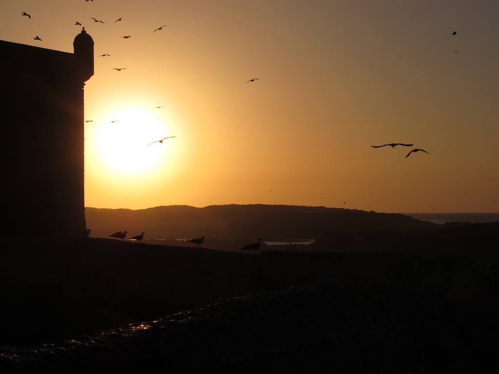 morocco-gma-451