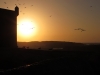 morocco-gma-451