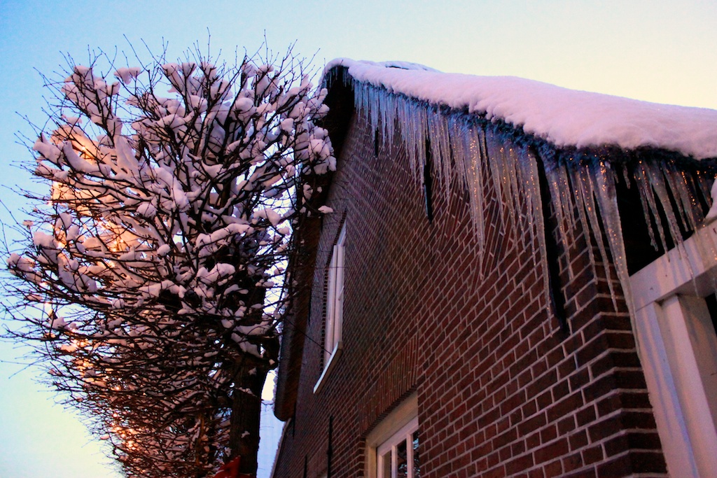 icicles