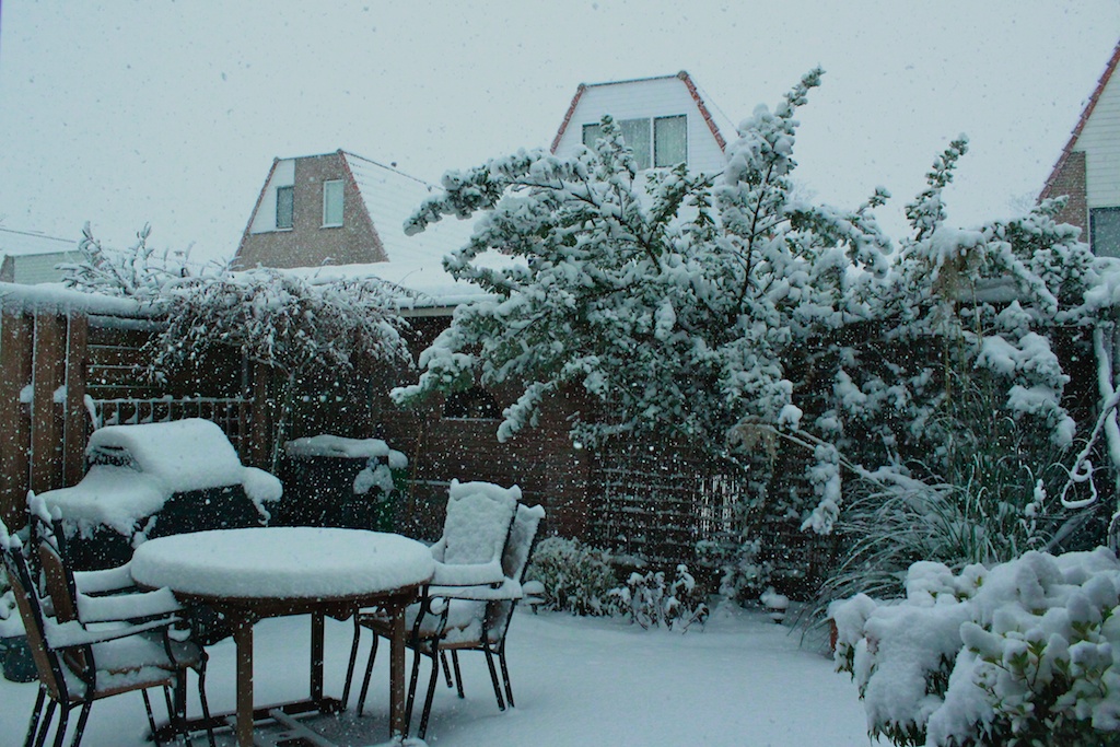 snowy-garden