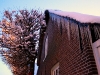 icicles