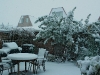 snowy-garden