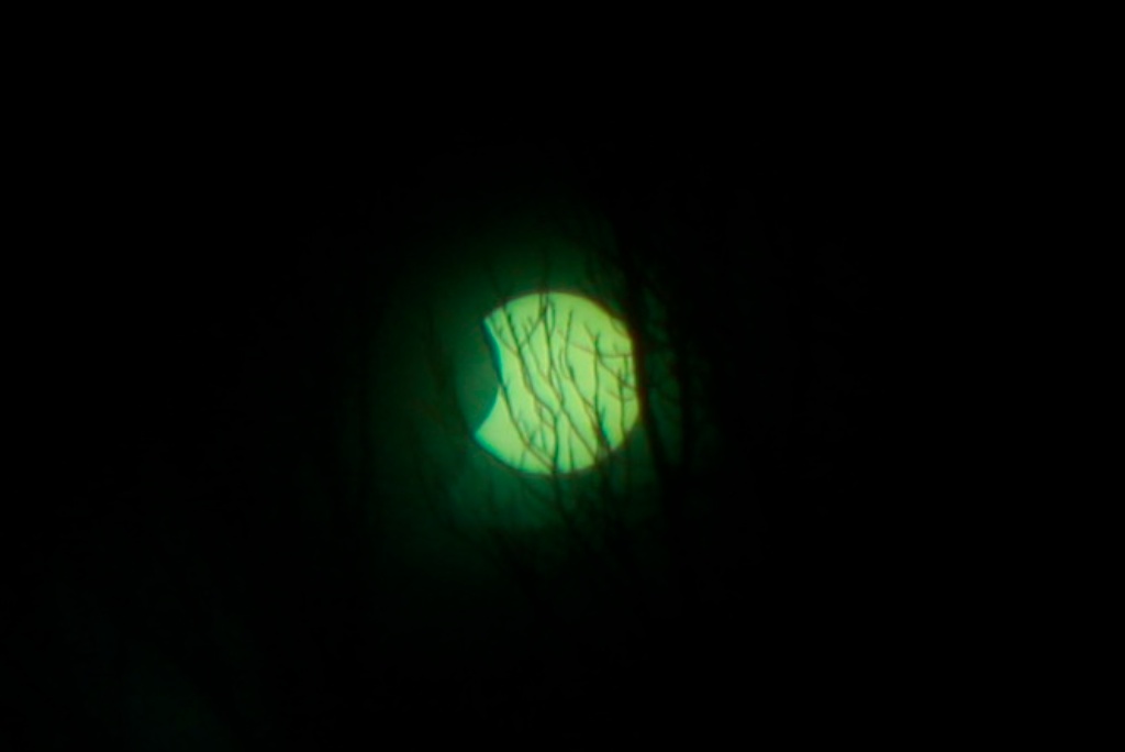 solar-eclipse-10-20am-1