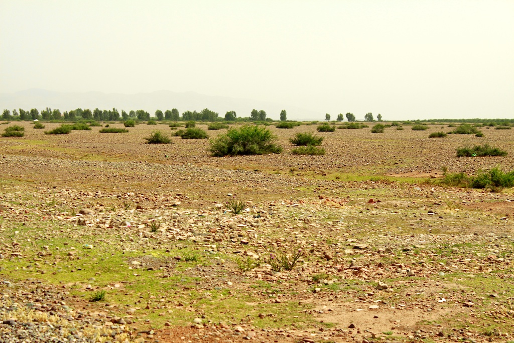 Desert