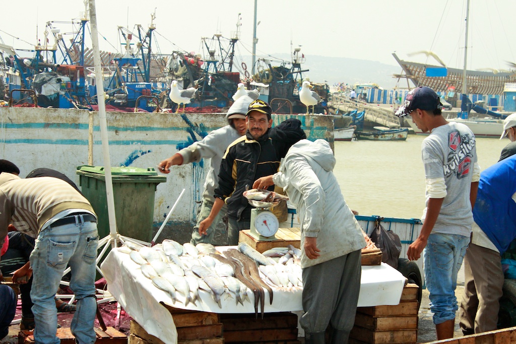 Fish Market