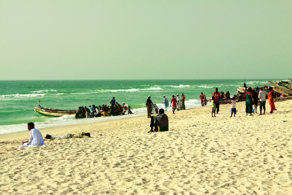 _MG_8807