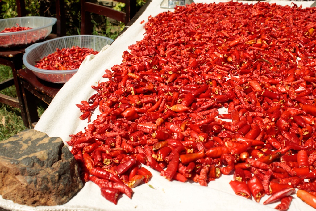Sun Dried Peppers