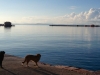 Chios Harbour, Aegean