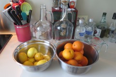 2018_09 | Limoncello